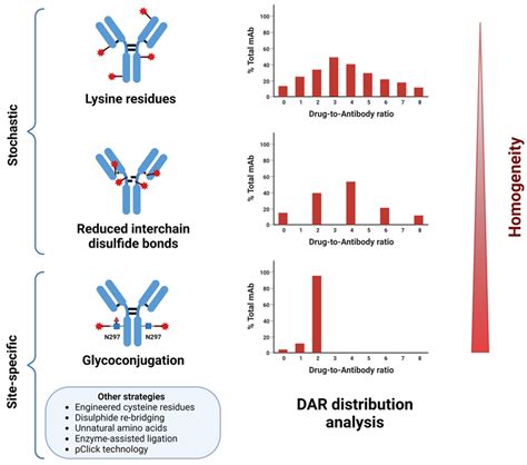 Image result for ADC Formulation Development