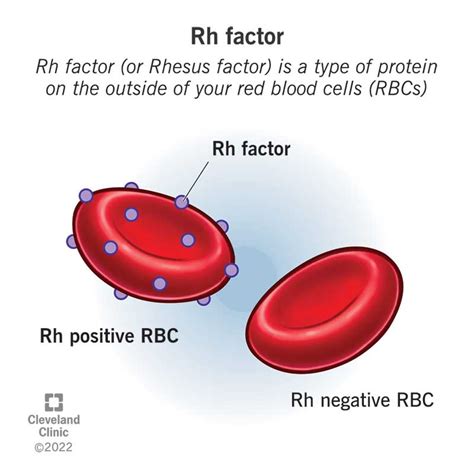 为什么父母都不是Rh阴性血，生出的小孩却是Rh阴性血呢？