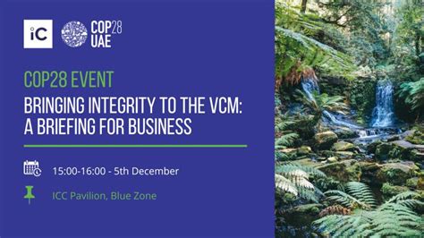 Image result for VCM Election