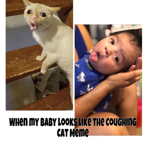 coughing cat accuracy - Meme by Retseana :) Memedroid