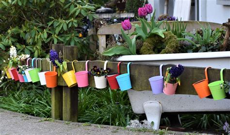 Image result for Types of Plant Containers