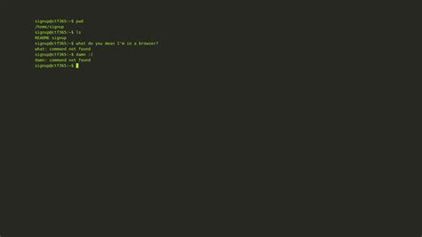 Image result for Terminal JavaScript