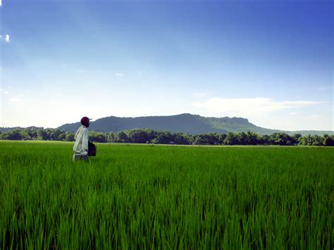 Source Local Farmers 的图像结果