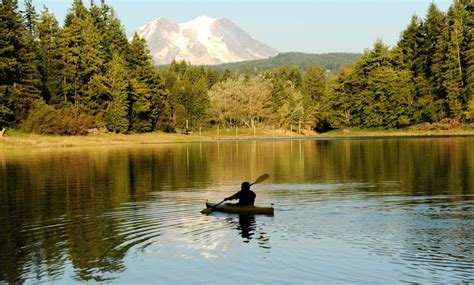 Alder Lake Main Campground Camping: Reservations & Amenities