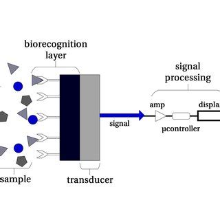 Image result for How Does a Biosensor Work