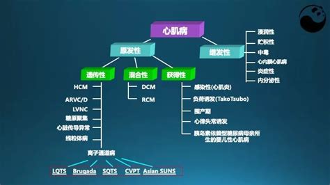 Image result for Color Coding Game