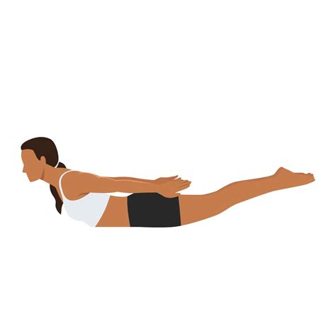 Woman doing Locust yoga pose. Salabhasana. Flat vector illustration ...