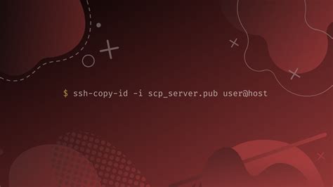 SCP File Transfer 的图像结果