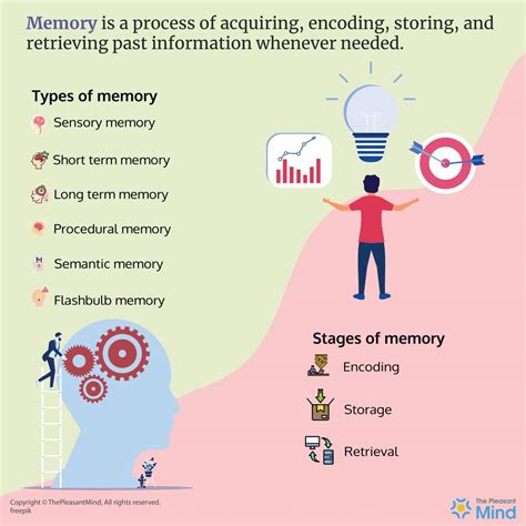 Infographic Definition Iconic Memory The Properties Of Human Memory