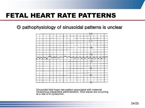 PPT - Ch. 14. INTRAPARTUM ASSESSMENT PowerPoint Presentation, free ...