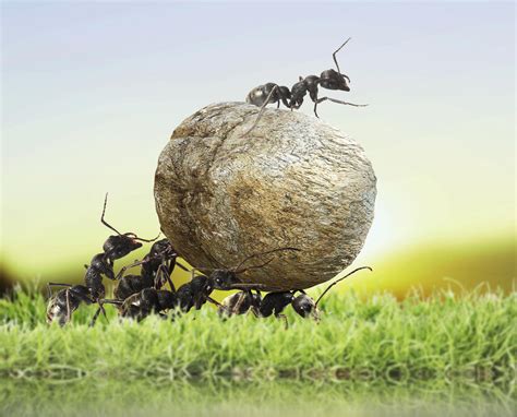 蚂蚁金服什么时候上市？蚂蚁金服上市时间表_第一金融网