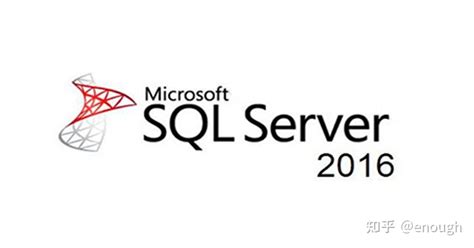 SQL Server E 的图像结果