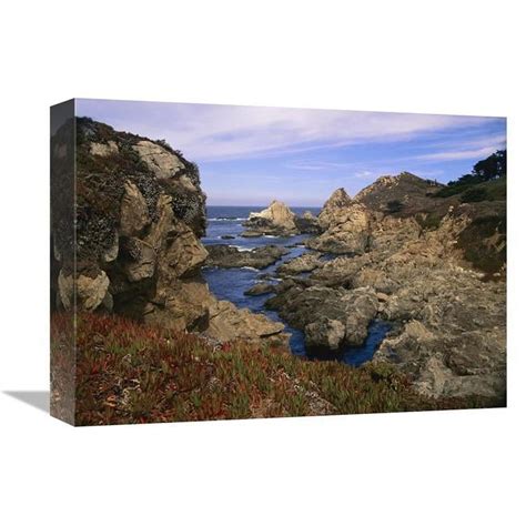 12 x 16 in. Iceplant Growing on Cliffs at Rocky Point, Big Sur ...
