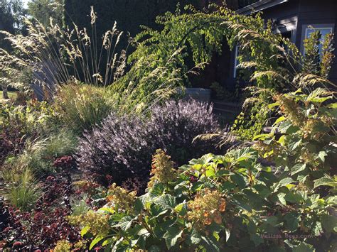 Melissa Bees » Blog