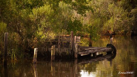 Elevation of Grand Bay, Alabama, USA - MAPLOGS
