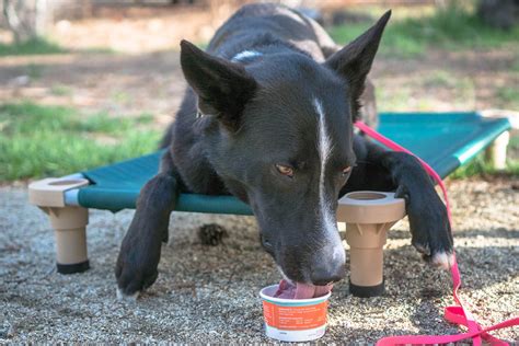 Redmond Oregon Dining