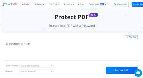 Image result for How to Open Secure PDF File