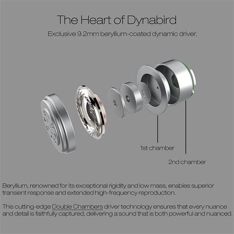 ORIVETI bleqk Dynabird Berylium Coated IEM | Concept Kart