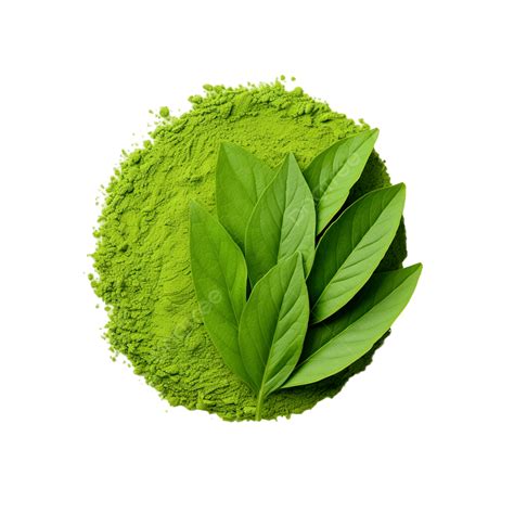 Green Matcha Leaf, Tea, Food, Herb PNG Transparent Image and Clipart ...