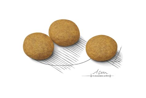 Medium Dermacomfort | Royal Canin PA