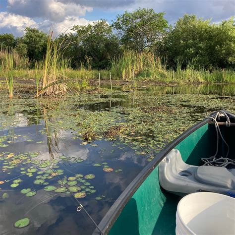 Monument Lake Campground — Big Cypress National Preserve | Ochopee, Florida