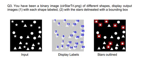 Image result for MATLAB LiveScript Clear Output