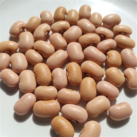 Cow Peas Pink (500 G) – Goodness Farm