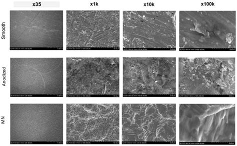 Biomimetics | January 2025 - Browse Articles