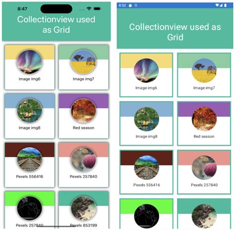 Xamarin Collection View Layout 的图像结果