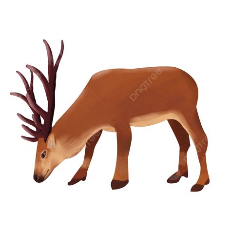 Elk Clip Art Elk Clipart Stock Illustrations – 2,028 Elk Clipart