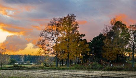 Batavia Daily News - Sports... - Batavia Daily News - Sports