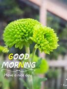 Image result for Good Morning Mouse