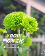 Image result for Good Morning Love Animals