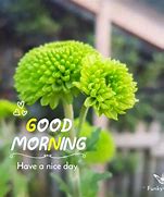 Image result for Good Morning Love Bunny