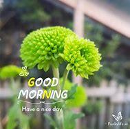 Image result for Good Morning Painted