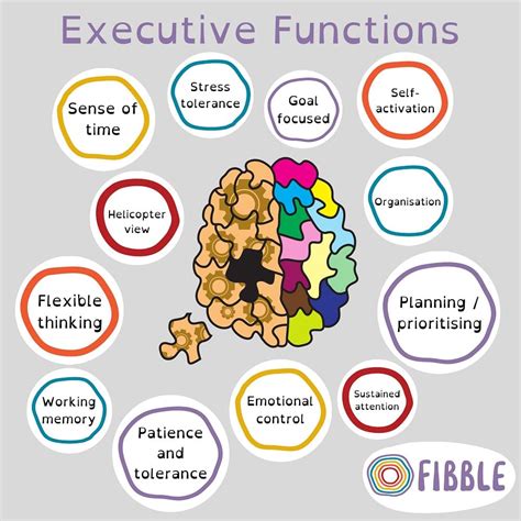 Image result for Executive Functions 101