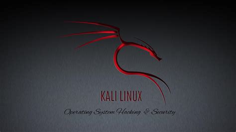 Image result for Kali Linux Background HD