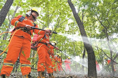 森林灭火应急演练