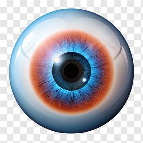 Realistic Blue Eye Clip Art Illustration, Blue Eyes, Human Eye ...