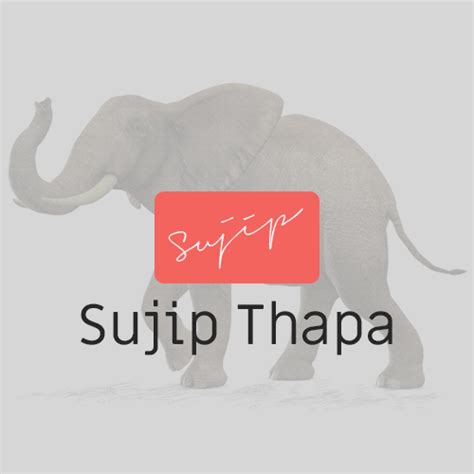 Image result for How to Create PayPal REST API