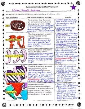 Evidence for Evolution Worksheet 的图像结果