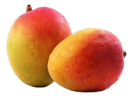 Mangos PNG Image - PurePNG | Free transparent CC0 PNG Image Library