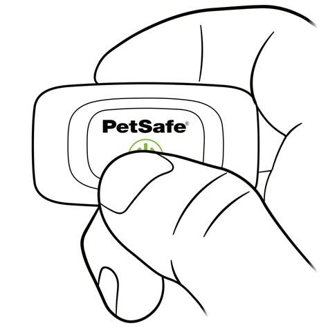 Image result for How to Use PetSafe Remote Training System Model ST-100