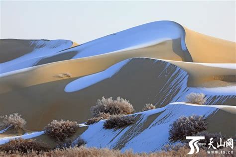 【高清组图】新疆塔克拉玛干沙漠降雪壮美如画-新闻中心-天山网