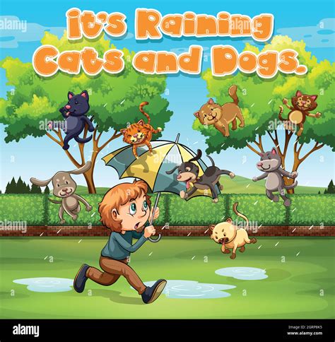 Raining cats and dogs hi-res stock photography and images - Alamy