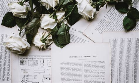 Sonnet 130 | Shakespeare's Sonnets