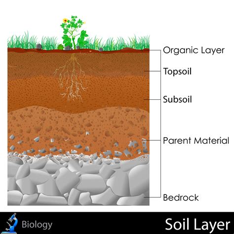 Layers Of Soil