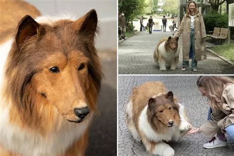 First wolf and now dog! Japanese men spend lakhs to look like animals ...