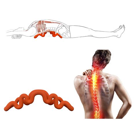 Image result for Deep Tissue Lower Back