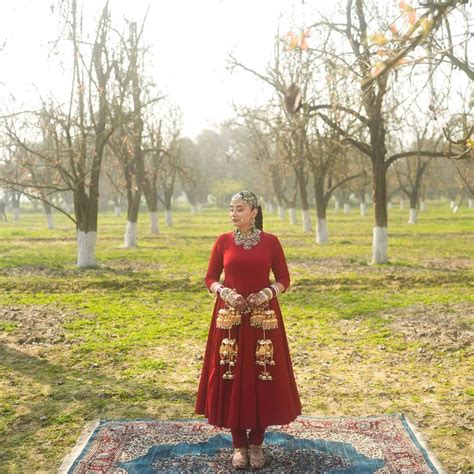 Zari – Pitambara
